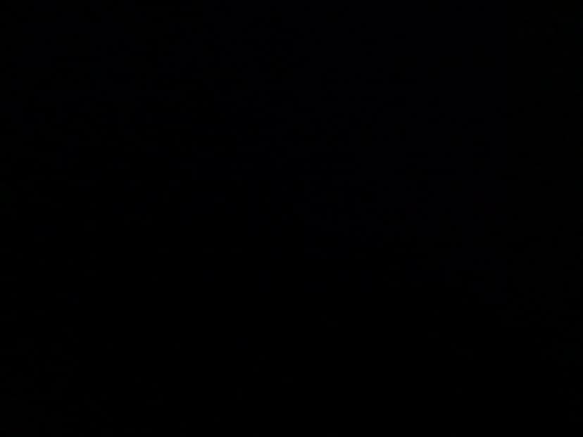 Web (geçici)