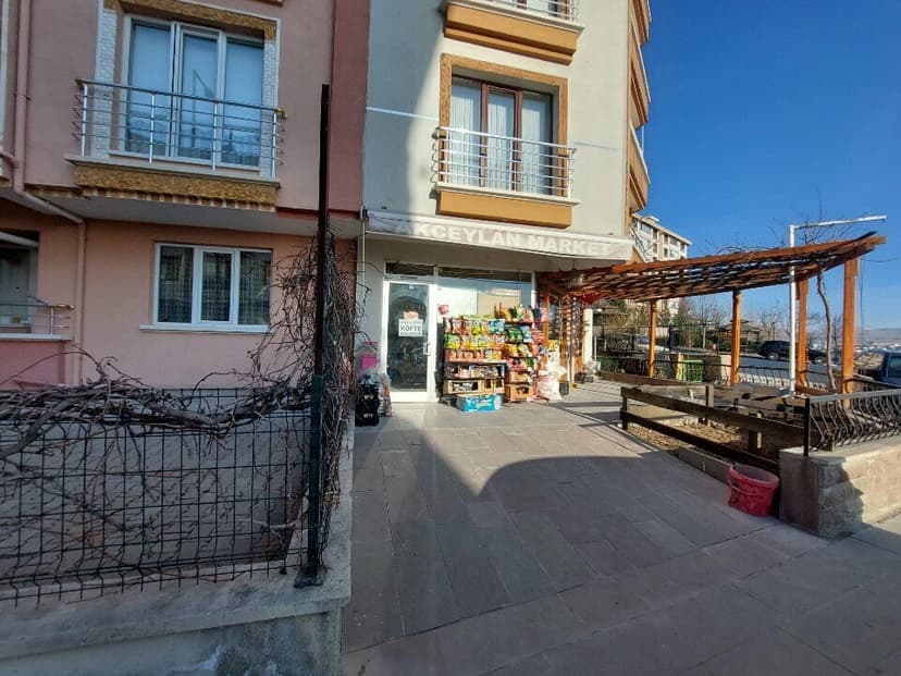Web (geçici)