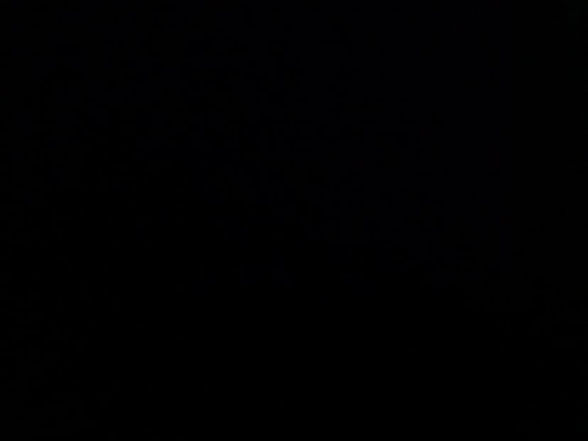 Web (geçici)