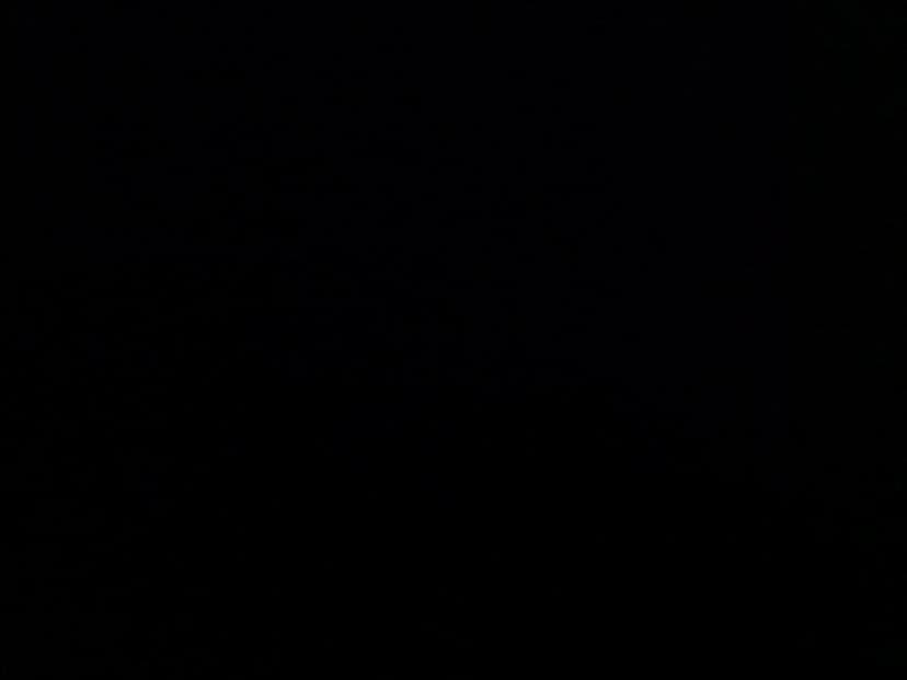 Web (geçici)