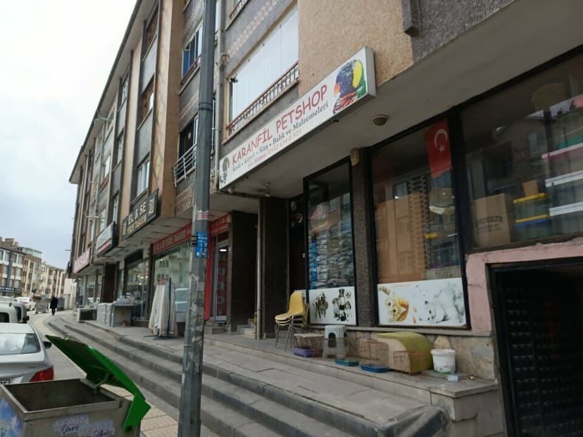 Web (geçici)