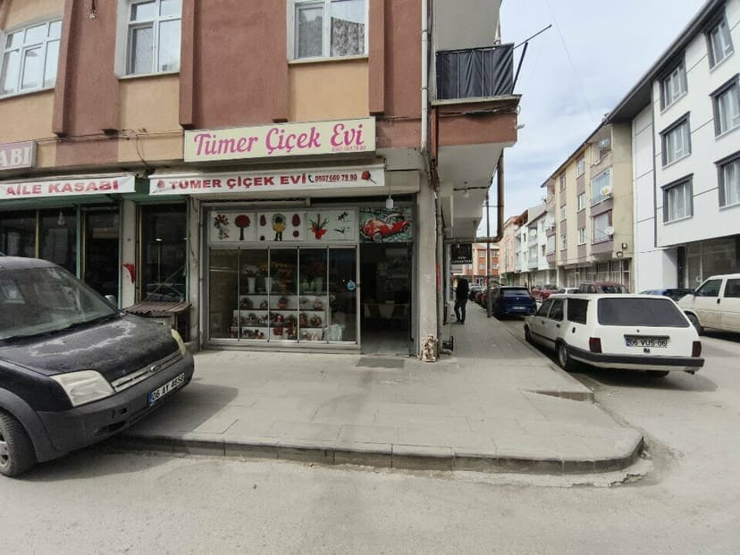 Web (geçici)
