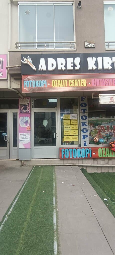 Web (geçici)