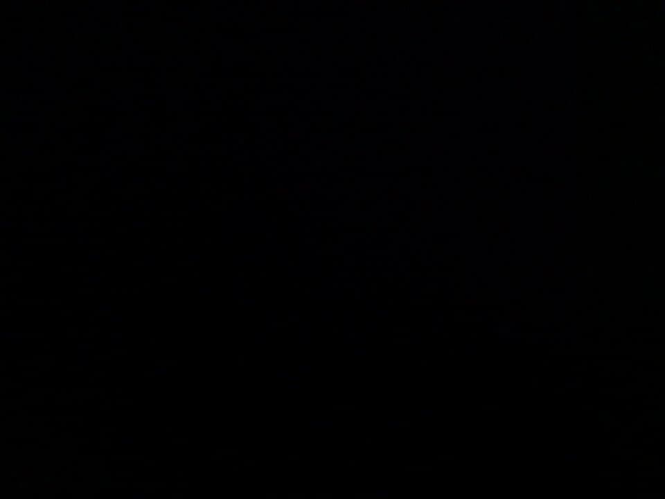 Web (geçici)