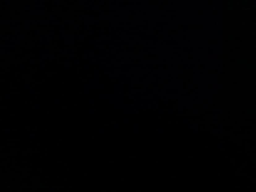 Web (geçici)