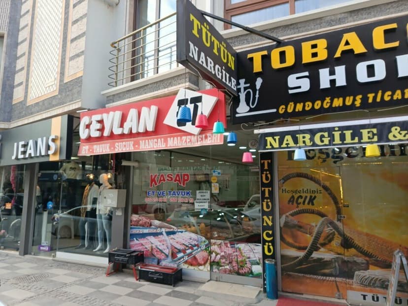 Web (geçici)