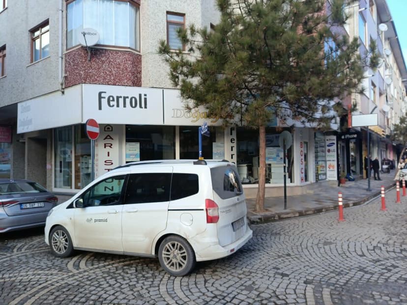 Web (geçici)
