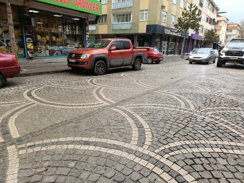 Web (geçici)