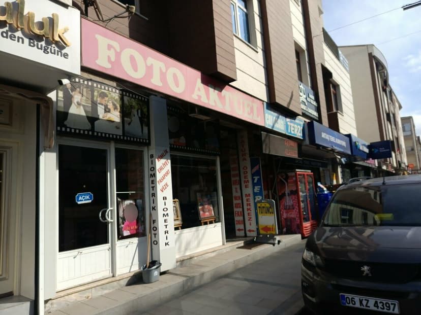 Web (geçici)