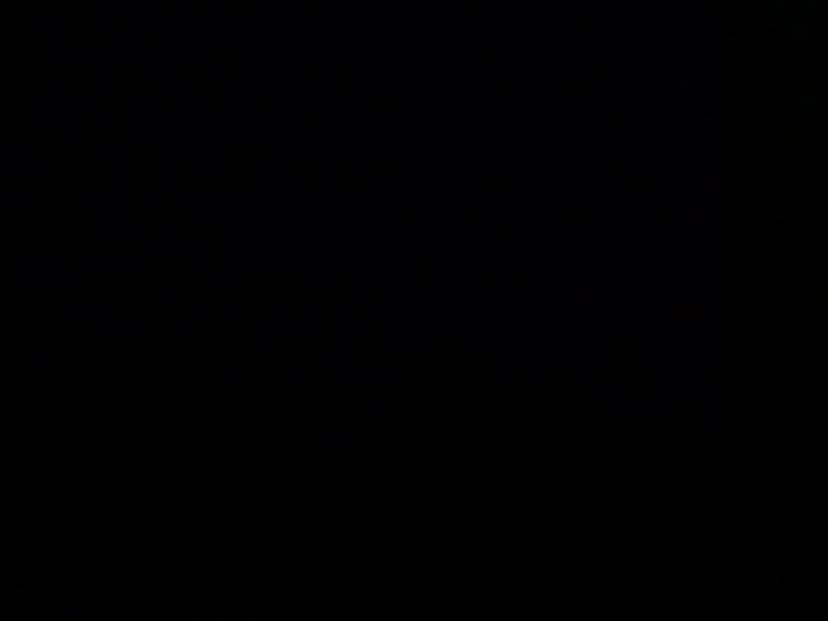 Web (geçici)
