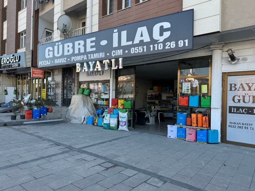 Web (geçici)
