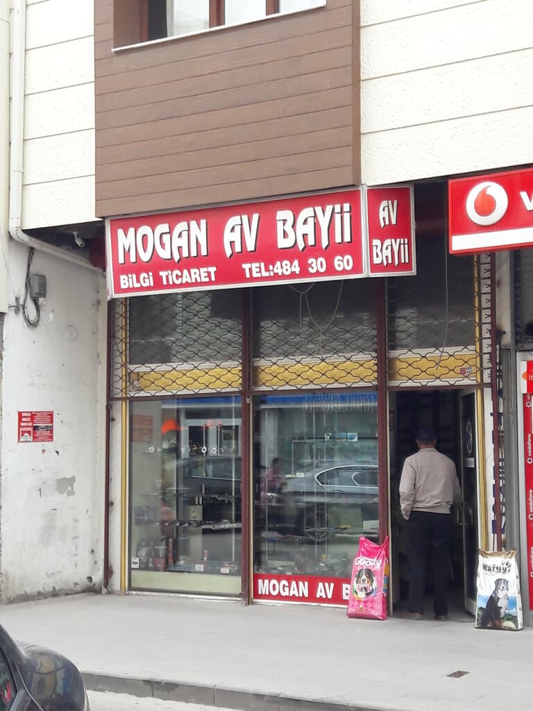 Web (geçici)