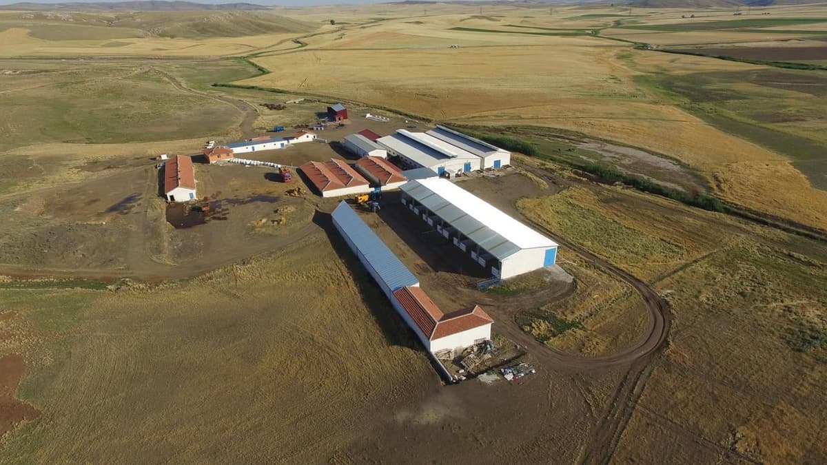 Burhancan Besi Çiftliği — Karagedik'teki çiftlik ve ağılların havadan görünümü