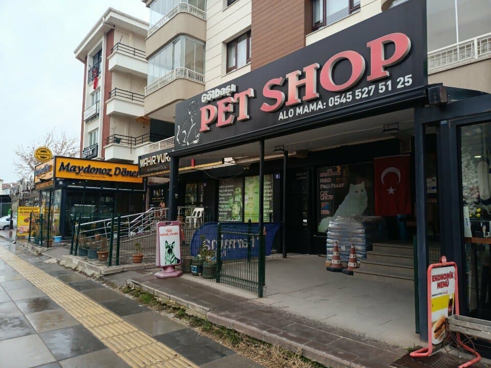 Web (geçici)