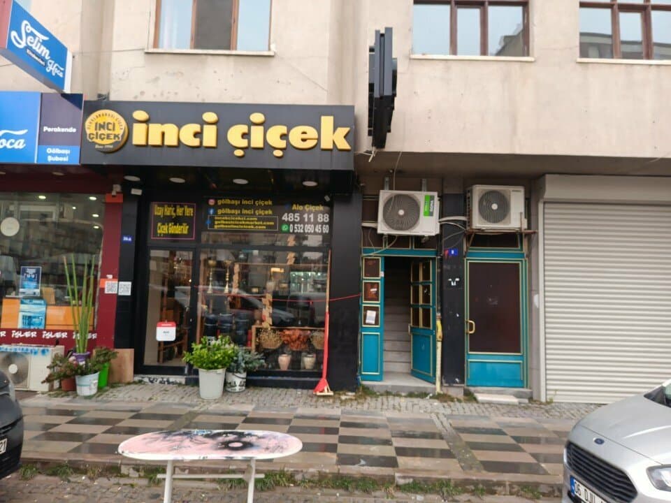 Web (geçici)