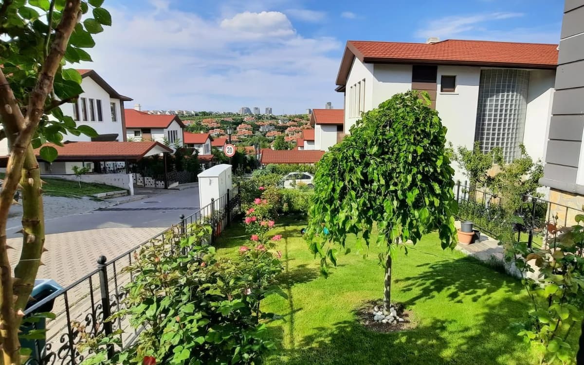 Peyzaj uygulaması yapılmış bahçe ve süs ağacı — Myflowergrass Peyzaj