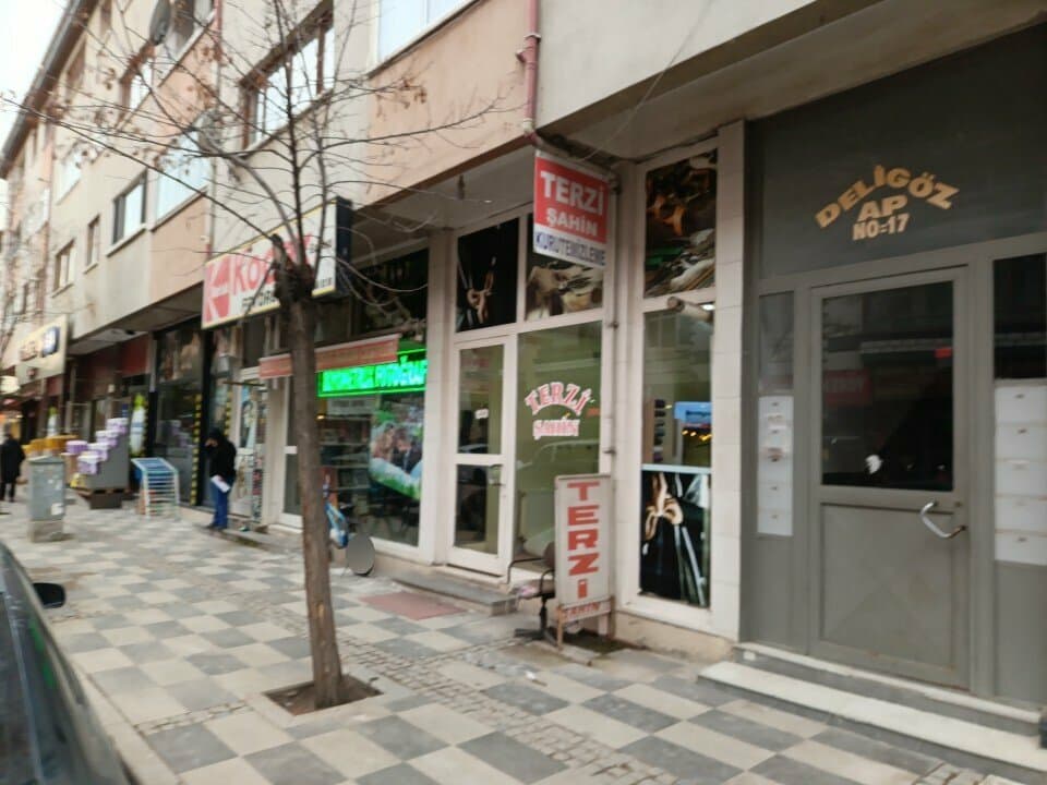 Web (geçici)