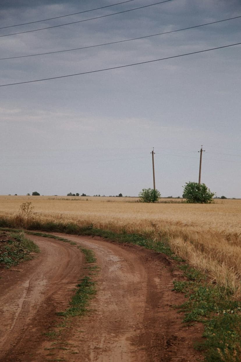 Parsele ulaşan tarla yolu (temsili görsel)